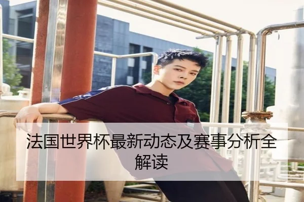 法国世界杯最新动态及赛事分析全解读